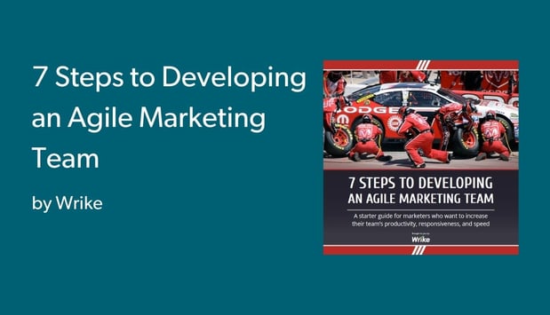 7 Steps to Developing an Agile Marketing Team-1