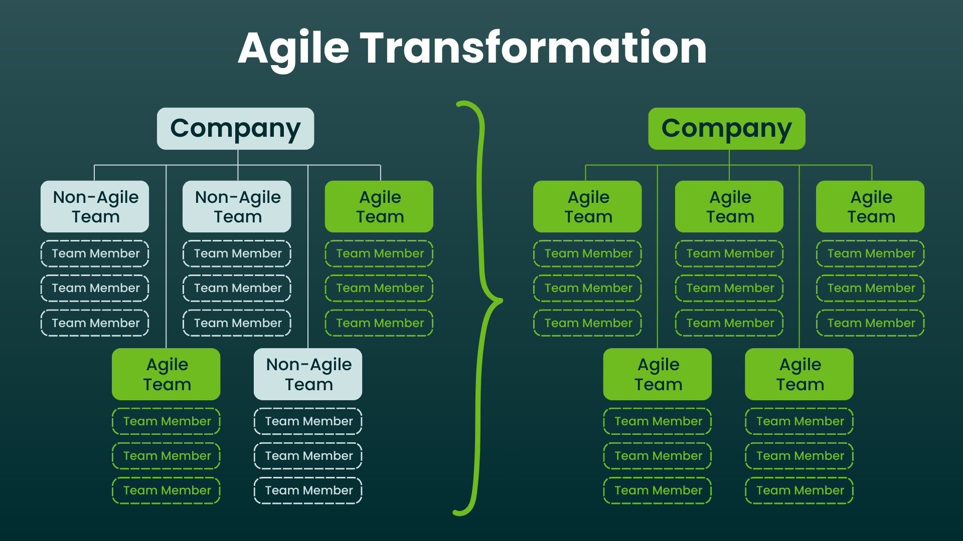 Agile Adoption VS Agile Transformation - Body Image 2 - Agile Transformation