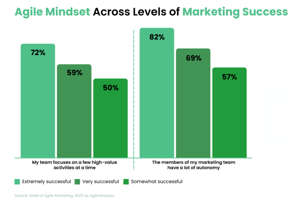 Agile Mindset Across Levels of Marketing Success