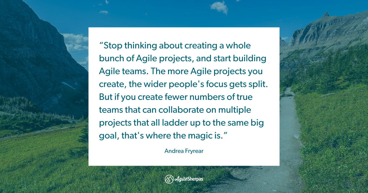 Agile Teams Focused Around the Customer