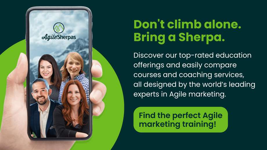 Dont Climb Alone Bring a Sherpa