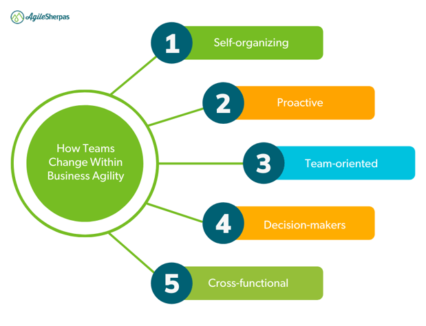 How Teams Change Within Business Agility-1