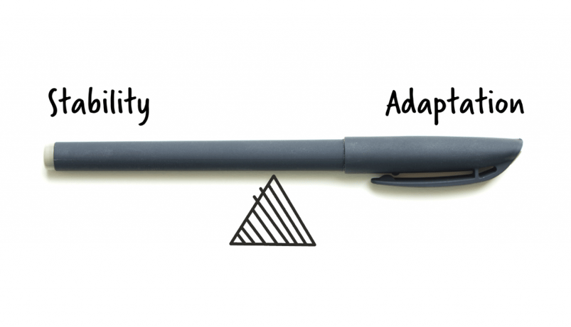 stability-adaptation-balance