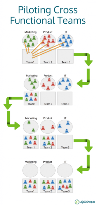 piloting cross functional agile teams