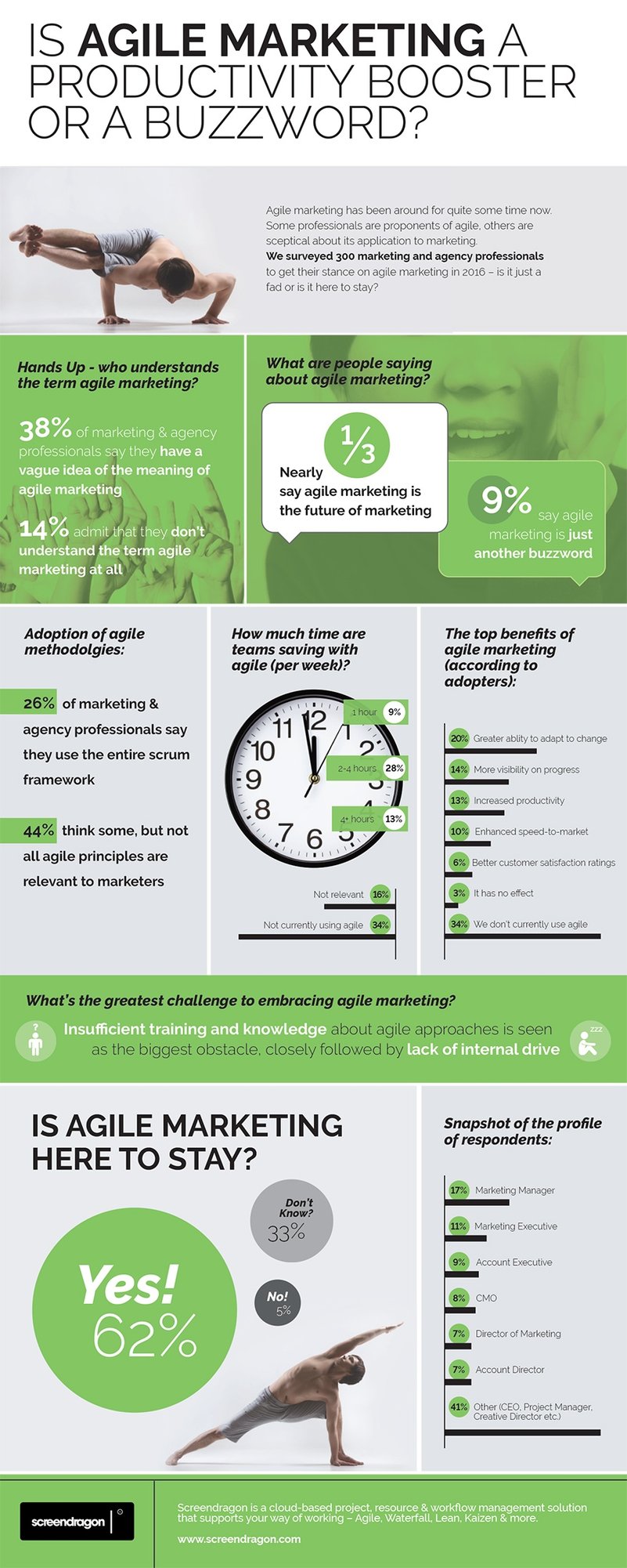 screendragon agile marketing survey