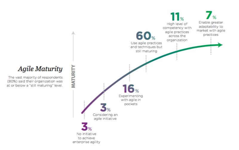 agile maturity