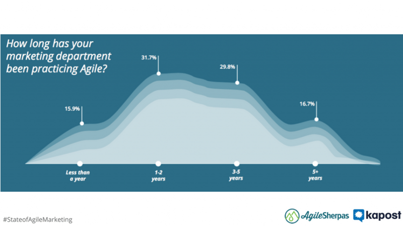 agile marketing team age