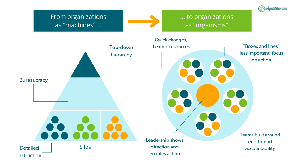 Machines vs Organisms