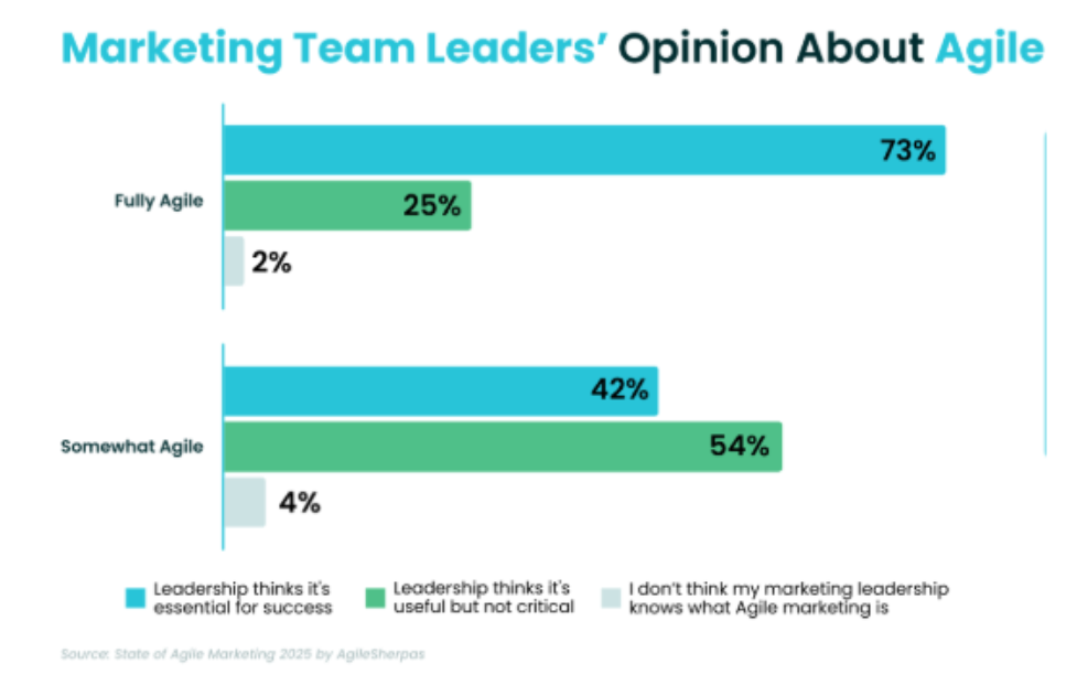 Marketing Leaders Opinion about Agile in 2025