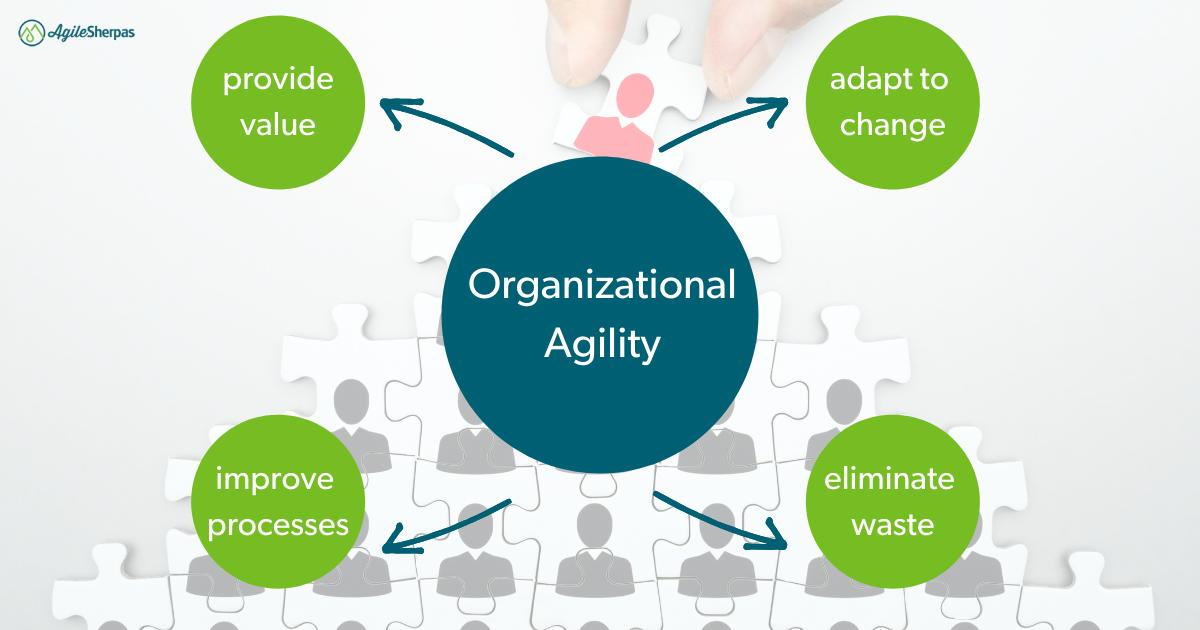 Organizational Agility