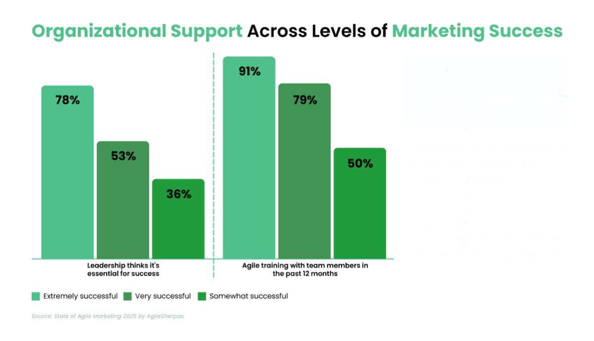 Organizational Support Across Levels of Marketing Success in 2025