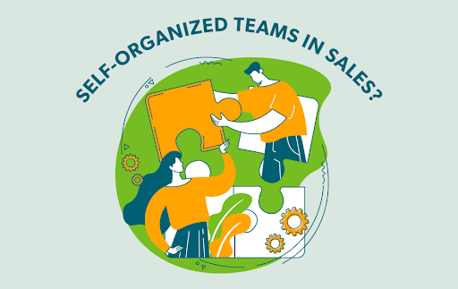 Self-Organized Teams in Sales