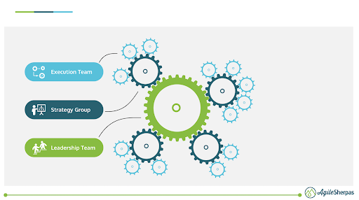 The Organizations as an Organism