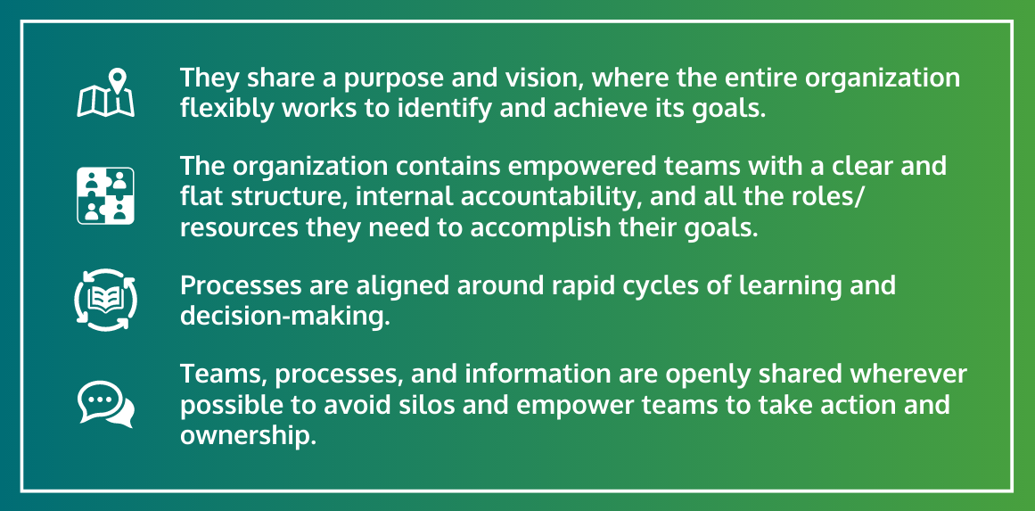 What Is an Agile Organization